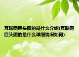 互聯(lián)網(wǎng)巨頭圖的是什么介紹(互聯(lián)網(wǎng)巨頭圖的是什么詳細(xì)情況如何)