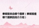 泰姬陵來自哪個國家（泰姬陵是哪個國家的簡介介紹）
