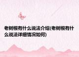 老樹(shù)根有什么說(shuō)法介紹(老樹(shù)根有什么說(shuō)法詳細(xì)情況如何)