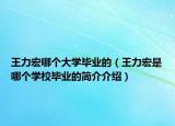 王力宏哪個(gè)大學(xué)畢業(yè)的（王力宏是哪個(gè)學(xué)校畢業(yè)的簡(jiǎn)介介紹）