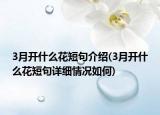 3月開(kāi)什么花短句介紹(3月開(kāi)什么花短句詳細(xì)情況如何)