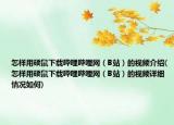 怎樣用碩鼠下載嗶哩嗶哩網(wǎng)（B站）的視頻介紹(怎樣用碩鼠下載嗶哩嗶哩網(wǎng)（B站）的視頻詳細(xì)情況如何)
