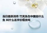 當日最新消息 竹莢魚在中國是什么魚 叫什么名字價格貴嗎