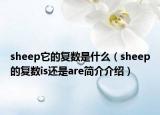 sheep它的復(fù)數(shù)是什么（sheep的復(fù)數(shù)is還是are簡介介紹）