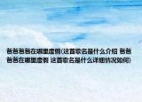 爸爸爸爸在哪里度假(這首歌名是什么介紹 爸爸爸爸在哪里度假 這首歌名是什么詳細(xì)情況如何)