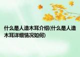 什么是人造木耳介紹(什么是人造木耳詳細情況如何)