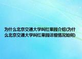 為什么北京交通大學(xué)叫紅果園介紹(為什么北京交通大學(xué)叫紅果園詳細(xì)情況如何)