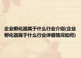 企業(yè)孵化器屬于什么行業(yè)介紹(企業(yè)孵化器屬于什么行業(yè)詳細(xì)情況如何)