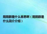 陌陌群是什么意思?。澳叭菏鞘裁春?jiǎn)介介紹）