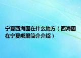 寧夏西海固在什么地方（西海固在寧夏哪里簡(jiǎn)介介紹）