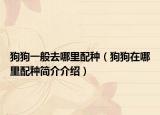 狗狗一般去哪里配種（狗狗在哪里配種簡(jiǎn)介介紹）