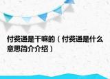 付費(fèi)通是干嘛的（付費(fèi)通是什么意思簡(jiǎn)介介紹）