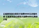 云南某導(dǎo)游白領(lǐng)至少消費8000元詳細(xì)內(nèi)容 云南某導(dǎo)游白領(lǐng)至少消費8000元具體介紹