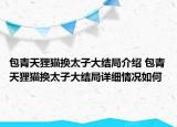 包青天貍貓換太子大結(jié)局介紹 包青天貍貓換太子大結(jié)局詳細(xì)情況如何