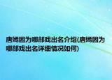 唐嫣因?yàn)槟牟繎虺雒榻B(唐嫣因?yàn)槟牟繎虺雒敿?xì)情況如何)