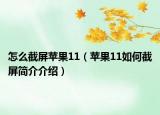 怎么截屏蘋果11（蘋果11如何截屏簡介介紹）