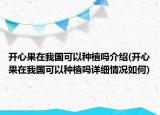 開心果在我國可以種植嗎介紹(開心果在我國可以種植嗎詳細(xì)情況如何)