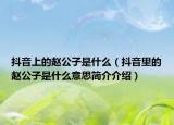 抖音上的趙公子是什么（抖音里的趙公子是什么意思簡(jiǎn)介介紹）