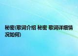 秘密(歌詞介紹 秘密 歌詞詳細(xì)情況如何)