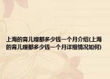 上海的育兒嫂都多少錢一個(gè)月介紹(上海的育兒嫂都多少錢一個(gè)月詳細(xì)情況如何)