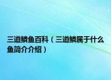 三道鱗魚(yú)百科（三道鱗屬于什么魚(yú)簡(jiǎn)介介紹）