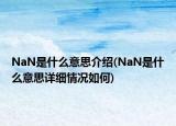 NaN是什么意思介紹(NaN是什么意思詳細(xì)情況如何)
