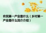 農(nóng)民第一產(chǎn)業(yè)是什么（鄉(xiāng)村第一產(chǎn)業(yè)是什么簡(jiǎn)介介紹）