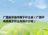 廣西省平南市屬于什么省（廣西平南縣屬于什么市簡(jiǎn)介介紹）