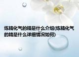 練精化氣的精是什么介紹(練精化氣的精是什么詳細(xì)情況如何)