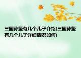 三國孫堅(jiān)有幾個(gè)兒子介紹(三國孫堅(jiān)有幾個(gè)兒子詳細(xì)情況如何)