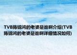TVB陳錦鴻的老婆是誰啊介紹(TVB陳錦鴻的老婆是誰啊詳細(xì)情況如何)