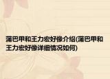 蒲巴甲和王力宏好像介紹(蒲巴甲和王力宏好像詳細情況如何)