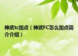 神武tc加點(diǎn)（神武FC怎么加點(diǎn)簡(jiǎn)介介紹）