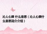 沁人心脾 什么意思（沁人心脾什么意思簡(jiǎn)介介紹）