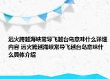 遠火跨越海峽常導飛越臺島意味什么詳細內容 遠火跨越海峽常導飛越臺島意味什么具體介紹