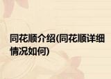 同花順介紹(同花順詳細(xì)情況如何)