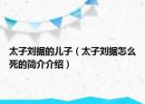 太子劉據(jù)的兒子（太子劉據(jù)怎么死的簡(jiǎn)介介紹）