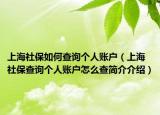 上海社保如何查詢個(gè)人賬戶（上海社保查詢個(gè)人賬戶怎么查簡(jiǎn)介介紹）