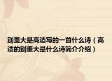 別董大是高適寫的一首什么詩（高適的別董大是什么詩簡介介紹）