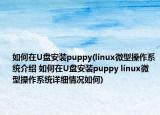 如何在U盤安裝puppy(linux微型操作系統(tǒng)介紹 如何在U盤安裝puppy linux微型操作系統(tǒng)詳細(xì)情況如何)