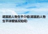 胡富的人物生平介紹(胡富的人物生平詳細(xì)情況如何)