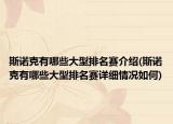 斯諾克有哪些大型排名賽介紹(斯諾克有哪些大型排名賽詳細(xì)情況如何)