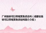 廣州地鐵可以帶觀賞魚進去嗎（成都坐地鐵可以帶觀賞魚進站嗎簡介介紹）