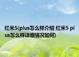 紅米5(plus怎么樣介紹 紅米5 plus怎么樣詳細(xì)情況如何)