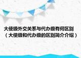 大使級(jí)外交關(guān)系與代辦級(jí)有何區(qū)別（大使級(jí)和代辦級(jí)的區(qū)別簡(jiǎn)介介紹）