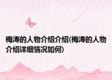 梅濤的人物介紹介紹(梅濤的人物介紹詳細(xì)情況如何)