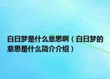 白日夢(mèng)是什么意思?。ò兹諌?mèng)的意思是什么簡(jiǎn)介介紹）