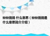 紛紛揚(yáng)揚(yáng) 什么意思（紛紛揚(yáng)揚(yáng)是什么意思簡介介紹）