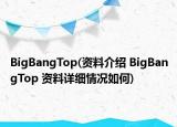 BigBangTop(資料介紹 BigBangTop 資料詳細(xì)情況如何)