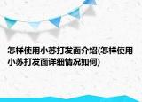 怎樣使用小蘇打發(fā)面介紹(怎樣使用小蘇打發(fā)面詳細(xì)情況如何)